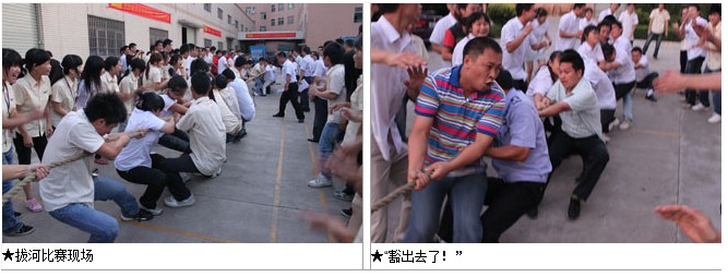 公司拔河比赛初赛举行